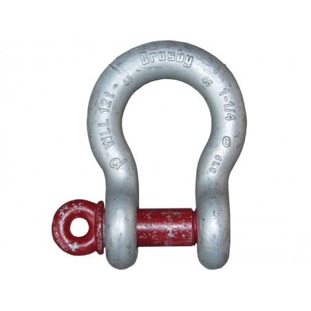Manille lyre 12t galvanisée RR:72t 1''1/4   