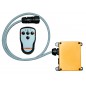 Radio commande PANTHER 2/3 fonctions P2