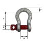 Manille lyre 12t galvanisée RR:72t 1''1/4   
