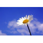 Description for TEST_PRESTASHOP002