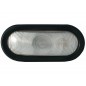 Feu oval US blanc 24V   